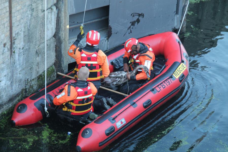 boat flooding firefighters 26204655004