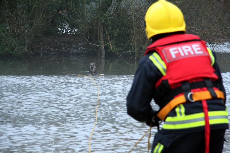 Flood firefighter 26204667544