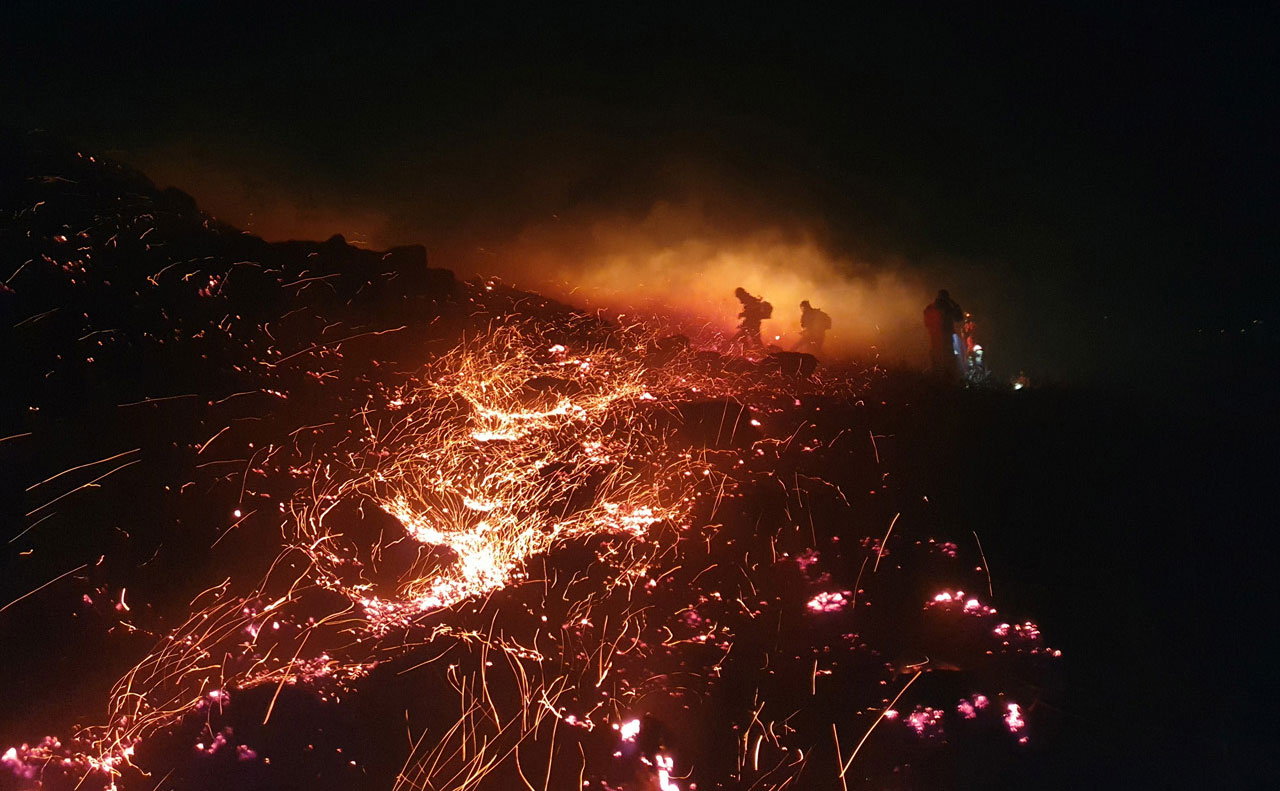 Wildfire unit