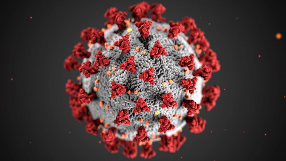 Covid 19 cell