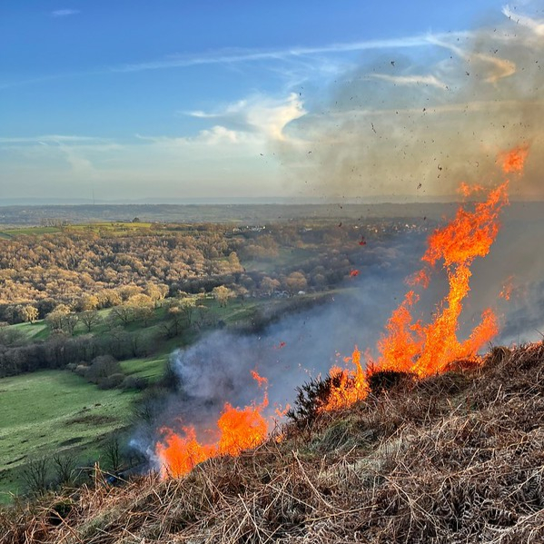 wildfire - small fire on hill