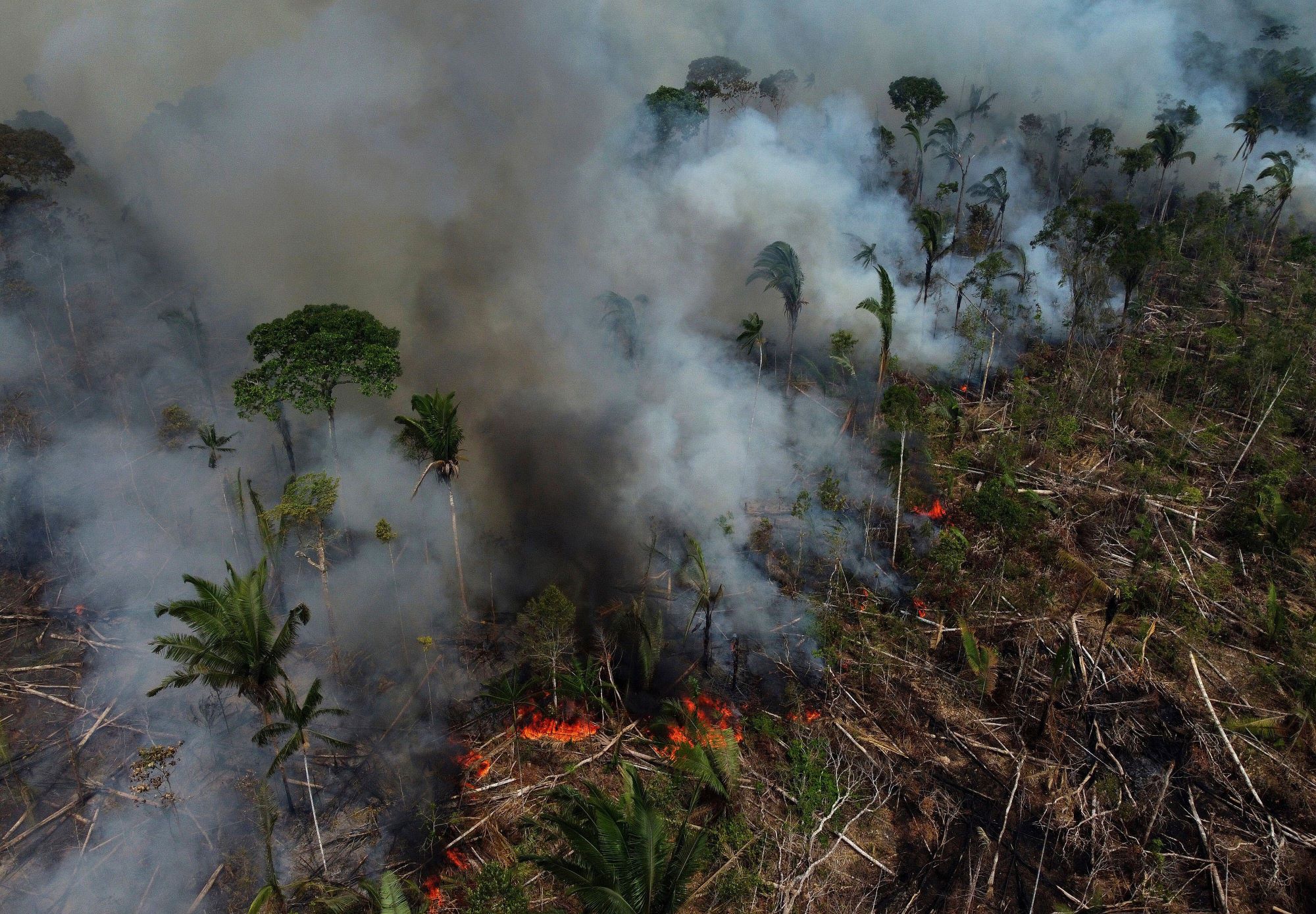 A forest fire sweeps through the Amazon rainforest