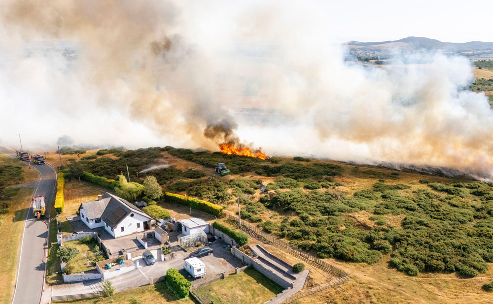 Wildfire Flintshire North Wales