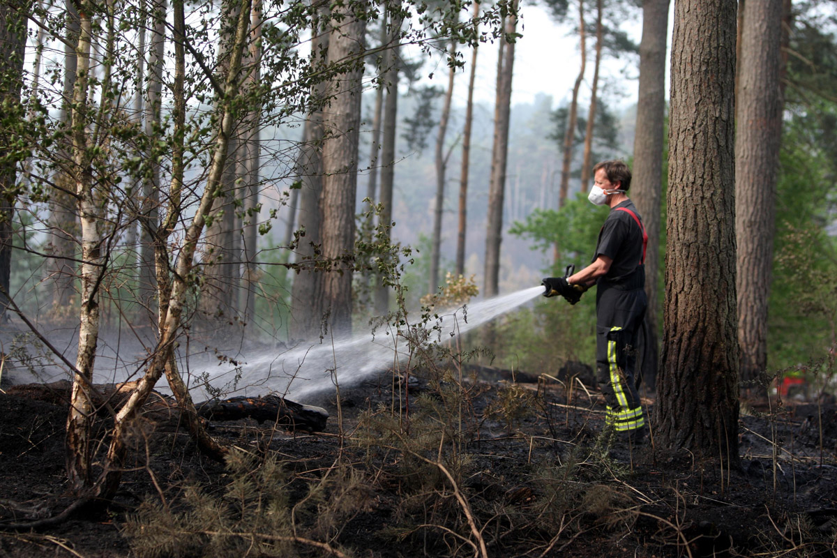 Swinley Forest fire in Berkshire in May 2011 affected hundreds of hectares