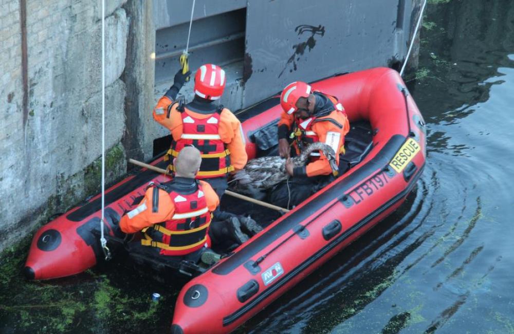boat flooding firefighters 26204655004