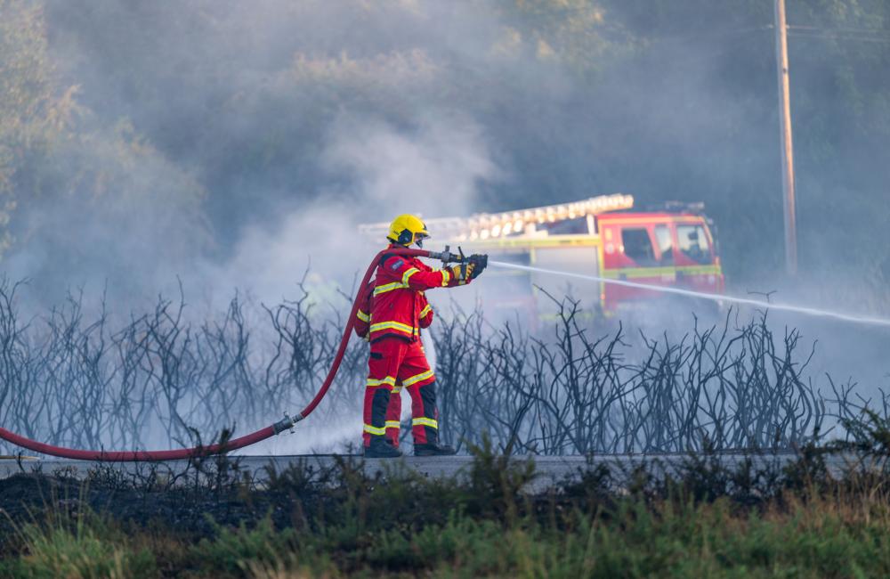 Firefighter with hose at Holt Heath wildfire