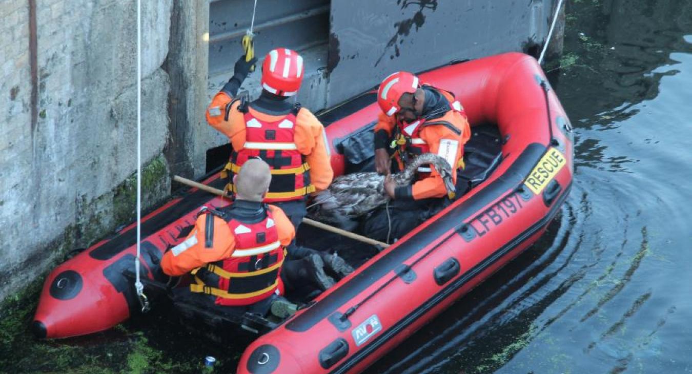 boat flooding firefighters 26204655004