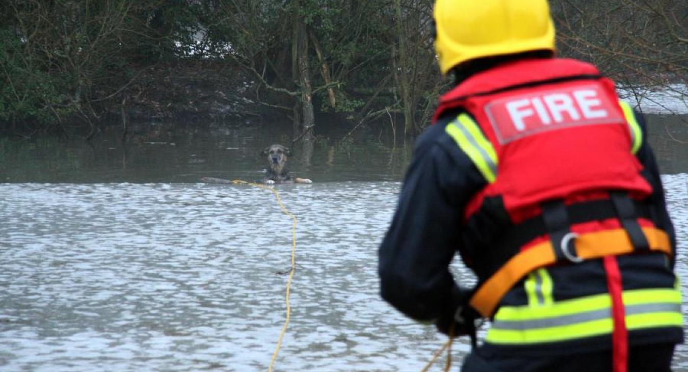 Flood firefighter 26204667544