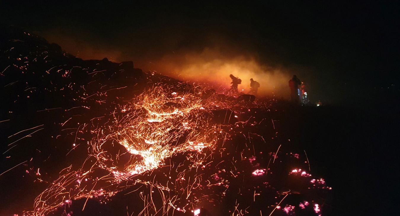 Wildfire unit