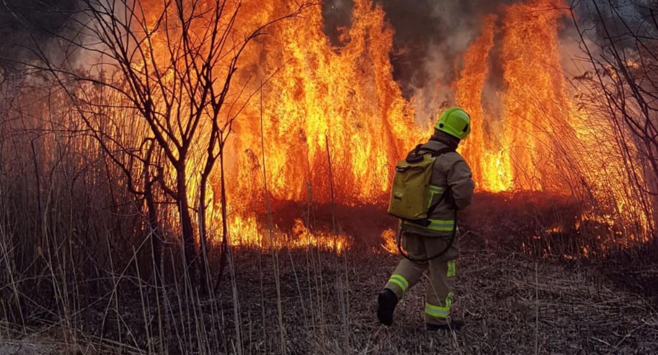 FF and wildfire