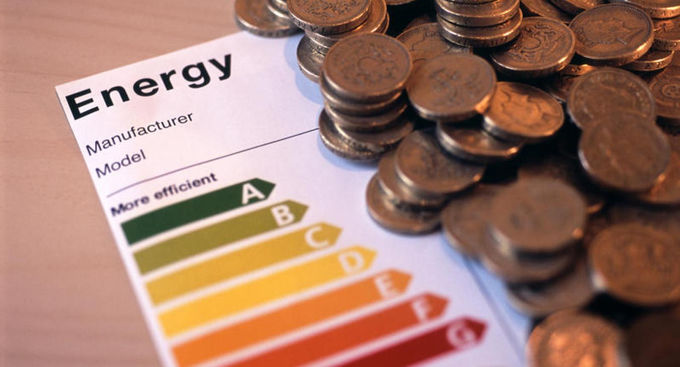 Household energy ratings with pound coins