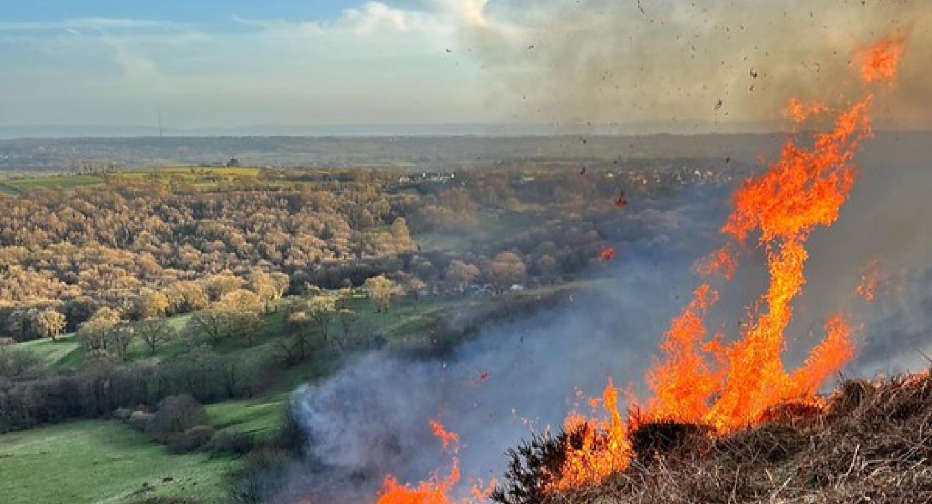 wildfire - small fire on hill