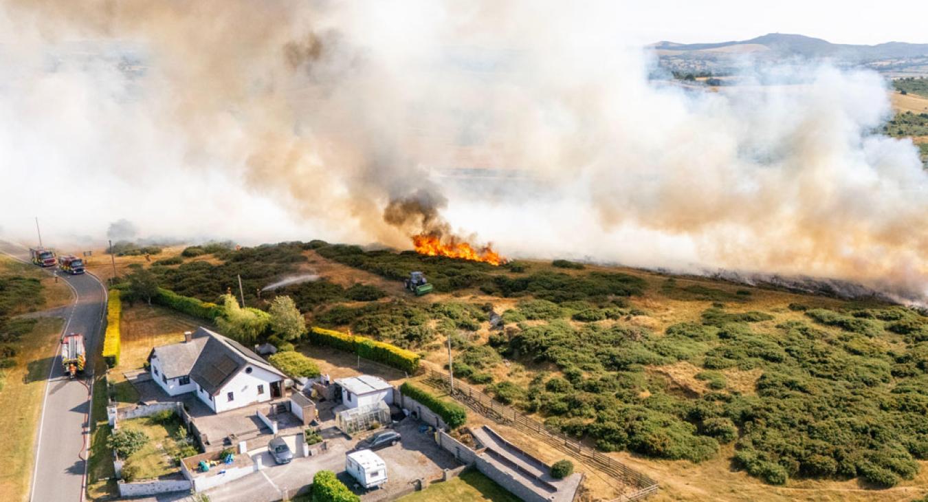 Wildfire Flintshire North Wales