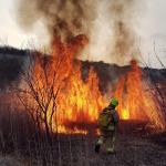 FF and wildfire