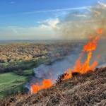 wildfire - small fire on hill