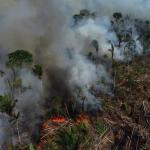 A forest fire sweeps through the Amazon rainforest